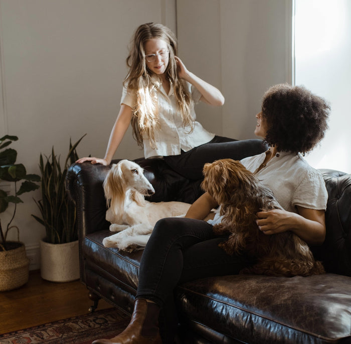activités jour de pluie